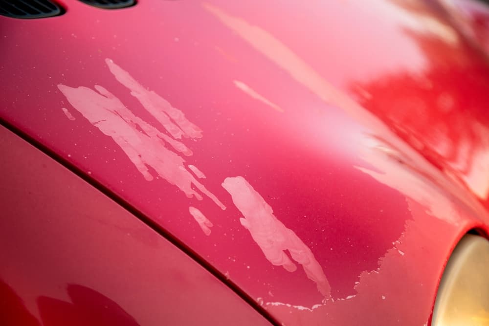 Bonnet or Panel Repainting