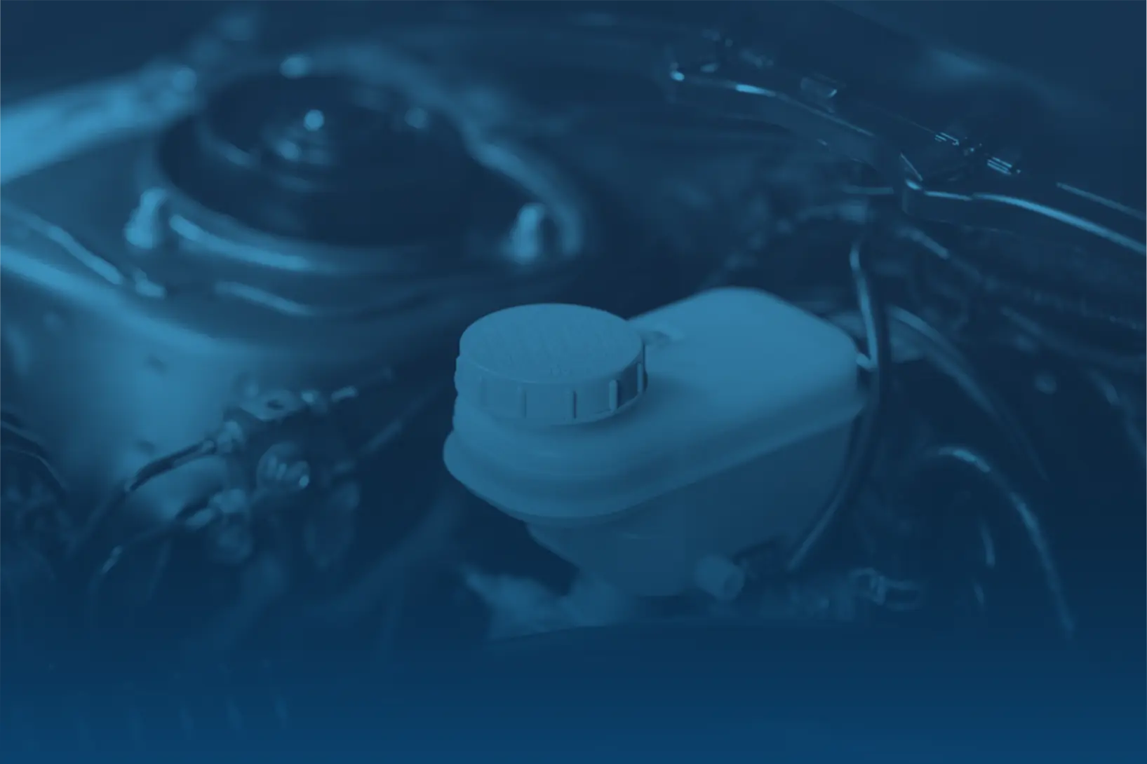 Header Background Image